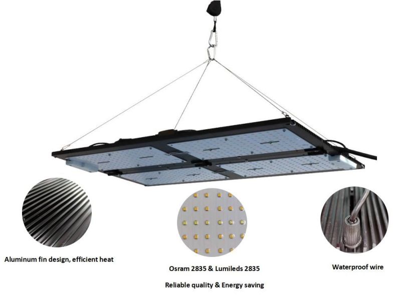 Best Commercial Horticulture Greenhouse Meanwell 240W Quantum Board LED Grow Light & CSA