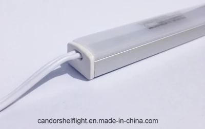 LED Tube Light with Factoty Price and High Quality Beads