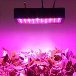 300 Watt 600 Watt 1000 Watt Full Spectrum LED Grow Light for Indoor Hydroponics Plants