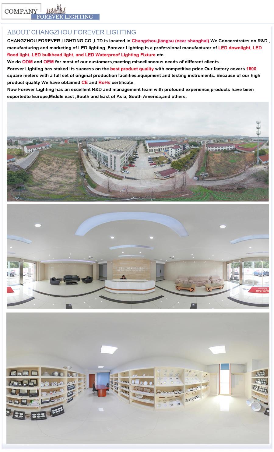 60cm IP65 LED Tri-Proof Light Light