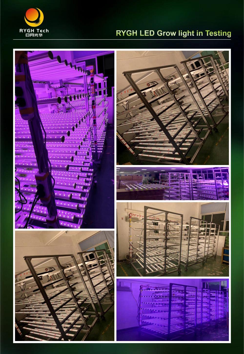 Indoor Lighting IP65 Hydro Plant 2.8 Umol/J Dimmable Full Spectrum 800W LED Grow Light