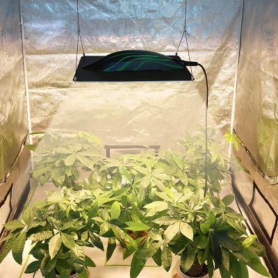 Pvisung 320W Full Spectrum Samsung Greenhouse Hydroponic Systems Plant Lamp Board LED Grow Light for Indoor Plants