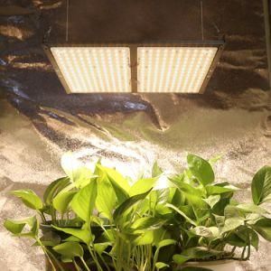 High Ppfd Quantum Board 150W LED Grow Lights for Indoor Plants