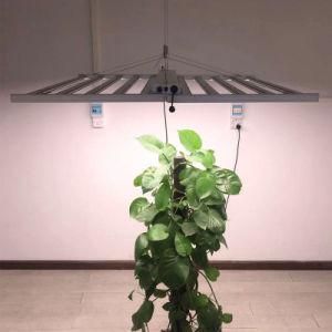 Wholesale LED Grow Light 600W Samsung Chip with 180 Degree Foldable and 0-10V Dimming/ LED Grow Light