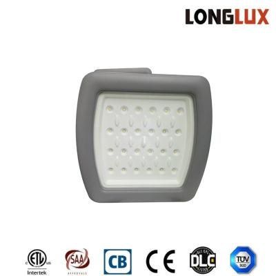 40W Canopy Explosion Proof Lights for Gas Station LED Lamp