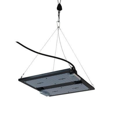 2020 Quantum LED Grow Light for Indoor Plants 120W for Sale LED Grow Panel &amp; CSA