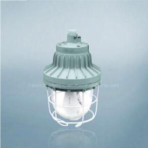 Explosion Proof Lamp for Hazard Zone