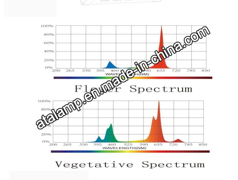 Full Spectrum High Power LED Plant Grow Light 300W/400W/500W/7000W/900W/1000W/1200W LED Grow Light for Greenhouse Plants - LED Grow Light