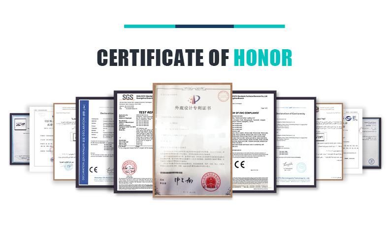 360 Light CE FCC Certification Fr-06 46W High Power Csp Chip Camp Light Waterproof 12V Camping Outdoor Lights
