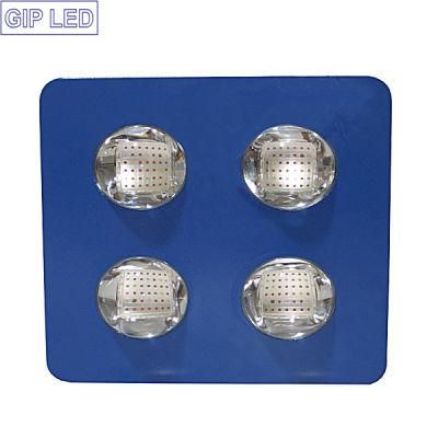 High Performance COB 504W 700W 1000W LED Grow Light for Hemps Plant
