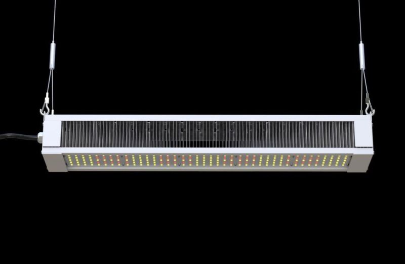 2021 Hydroponic Vertical Farming Grow Lights Samsung Lm301h Lm301b LED Grow Light Full Spectrum for Indoor Plant