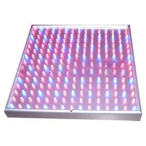 CE, RoHS, FCC. PSE Approvied High Quality High Bright 225 LED Grow Light