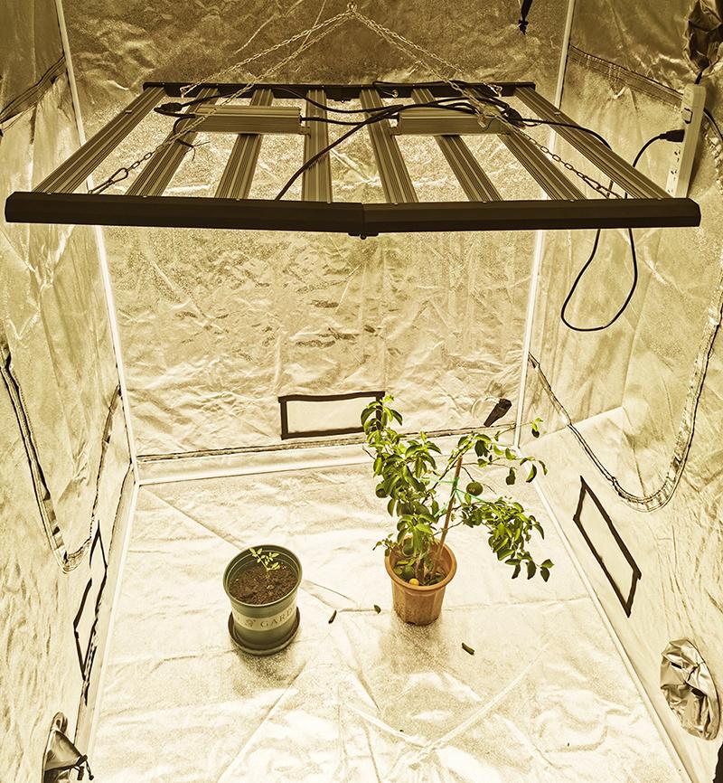 1000W Grow Light LED for Greenhouse Planting 800W LED Grow Light