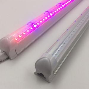 Energy-Efficient Commercia Red 660nm Blue 430nm T8 LED Tube Plant Indoor Plants Hydroponic Full Spectrum LED Grow Lights