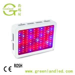 Hot Selling Double Chip 60 PCS LEDs Full Spectrum Plant 300W Dimmable LED Grow Light