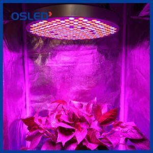 Full Spectrum LED Grow Light for Indoor Plants