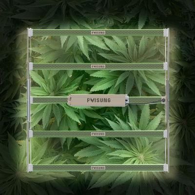 Factory Highest Efficacy 6 Strips 8 Strips 10 Strips Vertical Grow Indoor Grow Light Spectrum