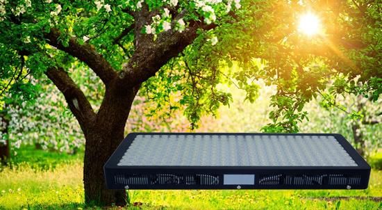 Square 1200W Full Spectrum LED Grow Light for Vegetable Lettuce