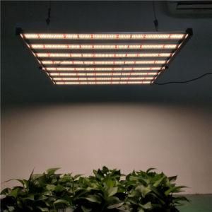 Osram ETL CE Dlc Listed Waterproof Greenhouse 645W Dimmable LED Grow Light with Samsung Chip O-10V Dimming