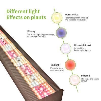240W LED Grow Light with No Shadow Installation for Greenhouse Growing Medical Herb