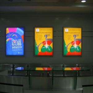 Indoor LED Sign Advertising Panel (Model 1830)