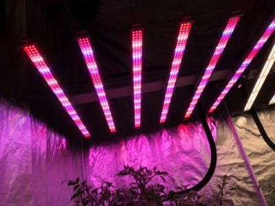 600W Fluence DIY LED Grow Light Hydroponic Adjustable Spectrum 1000W Grow Light