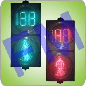 300 Dynamic LED Pedestrian LIght with Countdown Timer (RX300-3-25-2D)