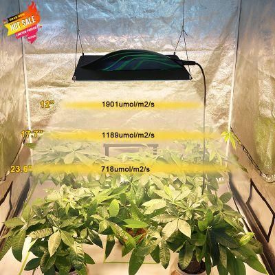 Samsung Strip Indoor Quantum High Power Board Lamp Full Spectrum Growing Plant Wholesale LED Grow Light Pvisung LED Grow Panel