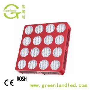 Wholesale Aluminum Alloy 2000W High Power LED Grow Light for Green House
