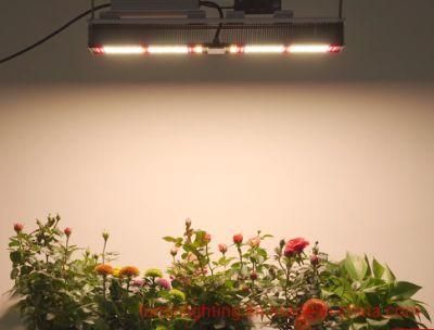 Fluence 320W Customized Full Spectrum LED Grow Light for Plants