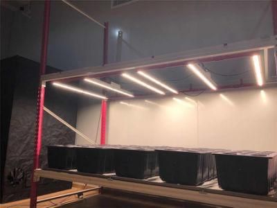 Growspec Indoor 500W UV Hydroponic LED Grow Lights