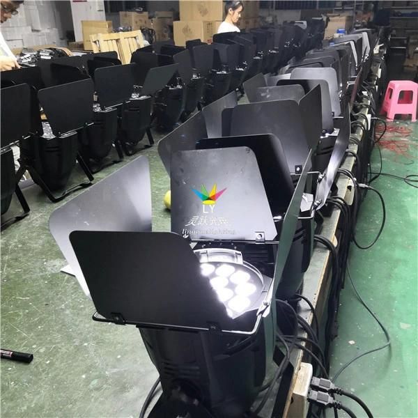 18X12W Indoor DMX RGBW Stage LED DJ Lighting PAR