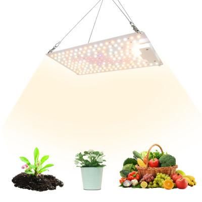 Different Design and Energy Saving LED Growth Lighting 100W with UL Certification