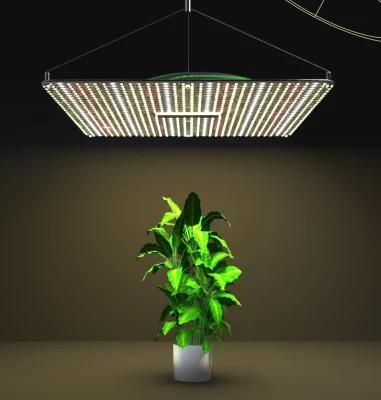 New Design Greenhouse Indoor Vertical Farm Indoor Plant Grow Light LED Cabbage Grow Light LED for Plant Growing