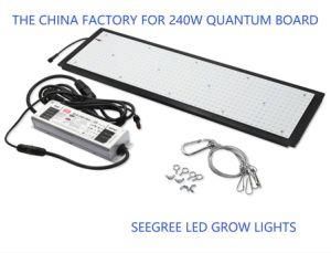 2021 The Newest 240W Quantum Board with The Best Quality on The Market