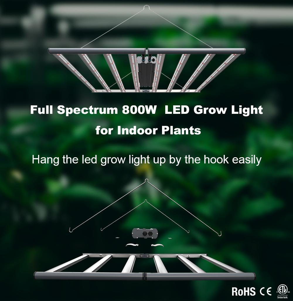 Lettuce Microgreens Hydro Growing Lamp Full Spectrum LED Grow Light for Indoor Plants Garden Growth