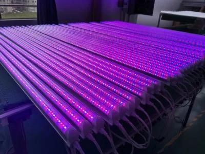 Greenhouse 600W Full Spectrum LED Grow Light for Plant