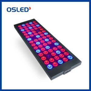 Full Spectrum LED Grow Light with Veg Bloom Especially for Seedling