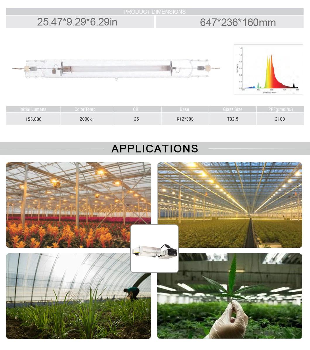 New Design 1000W High Power Lamp LED Grow Light for Indoor Greenhouse Plants