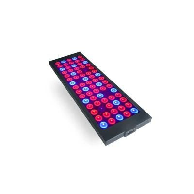 Wholesale 40W LED Grow Lamp with High PAR Output