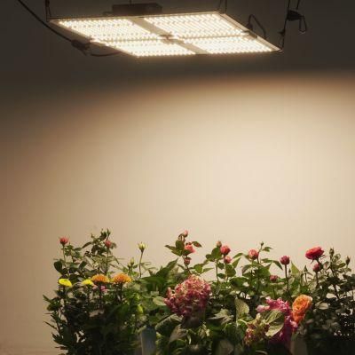 Good Price Competitive Full Spectrum LED Quantum Board Grow Panel Light (400W 2.8umol/J) for Indoors Growing