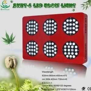 Full Spectrum 300W LED Grow Light, Hydroponics Systems LED Grow Lighting Panel