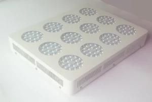 1200watt New Technology LED COB Grow Light Specially for Us Market