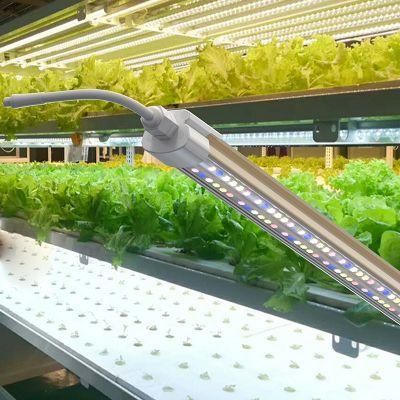 Full Spectrum 36W Vertical Farming LED Bars Grow Tube Light for Shelf Growing