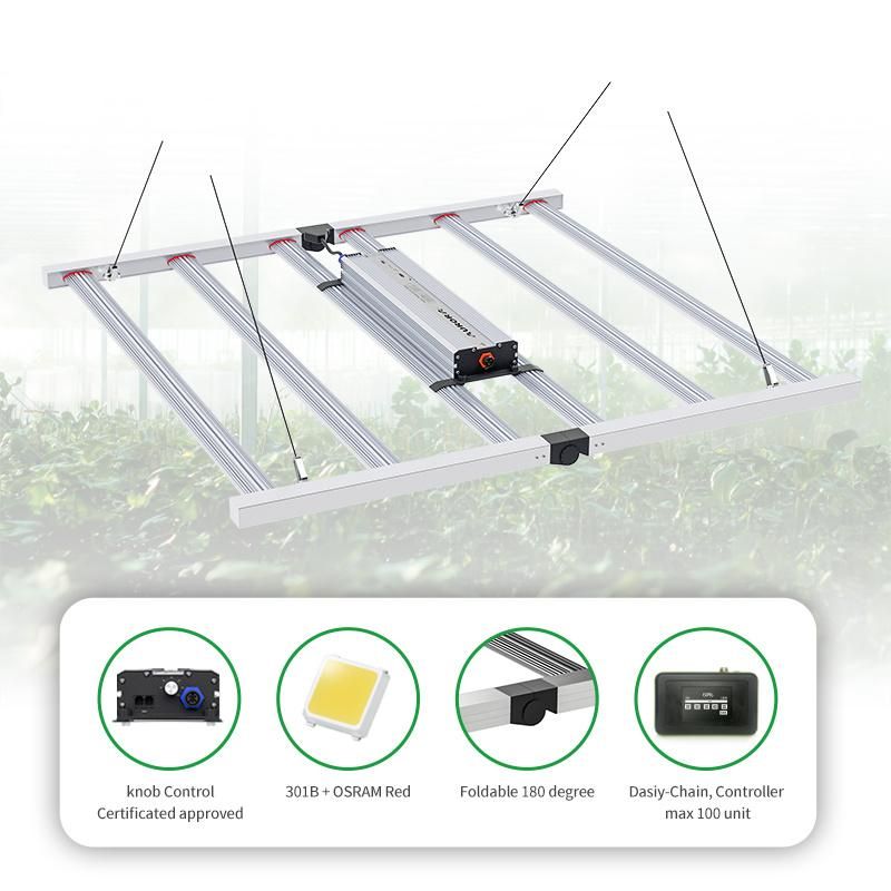 320W 680W 800W Wholesale LED Grow Light Full Spectrum LED Grow Light Support OEM & ODM Service