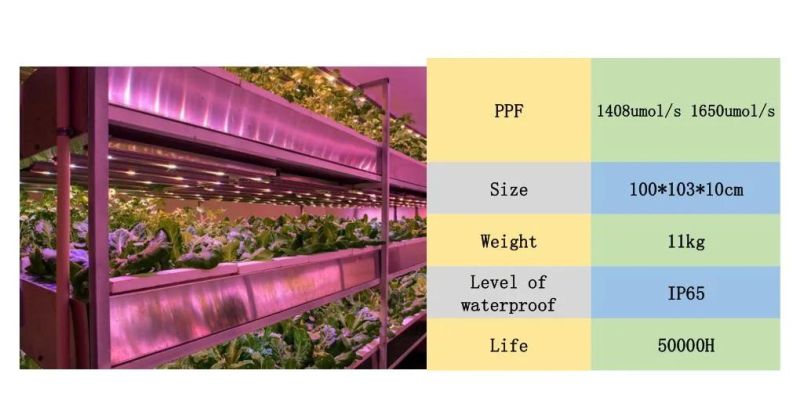 High Quality Long Life Indoor Agriculture LED Lights
