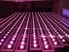 Hot Sell Waterproof LED Grow Light Bar 36W for Indoor Plants