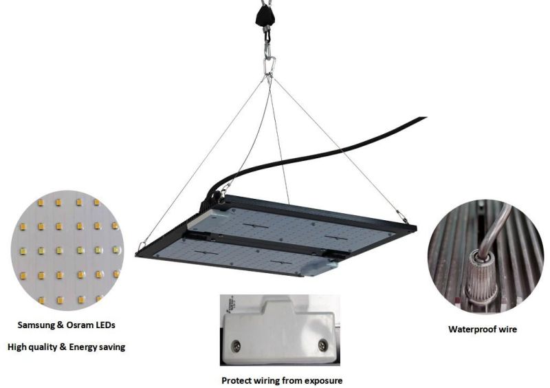 Indoor Osram 120W LED Grow Light Samsung Full Spectrum Lm301b Quantum Boards Light for Hydroponics Grow Tent with ETL
