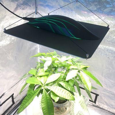 High Efficacy 320W 150W Full Spectrum Samsung Lm301h LED Grow Lights for Indoor Plants