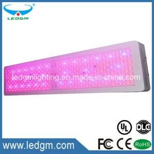 High Quality 220-230W LED Grow Light for Germany